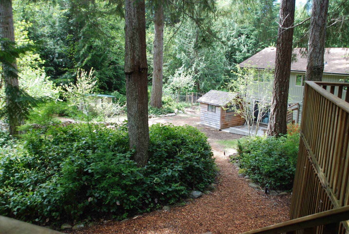 Self Realization Meditation Healing Centre Cedar Bed And