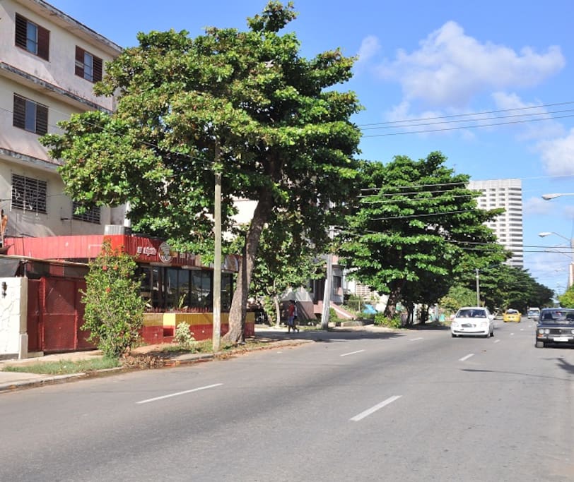 Calle 3ra Vedado entre 10 y 12 No. 626 apto 1