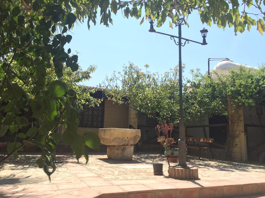 Encantador patio Andaluz