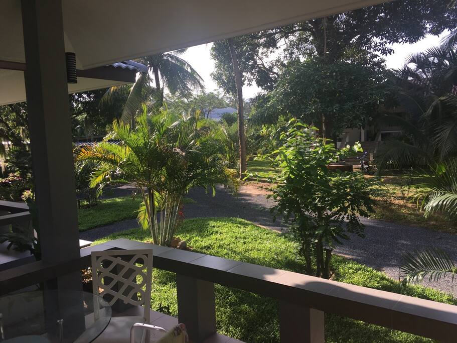 View from the terrace