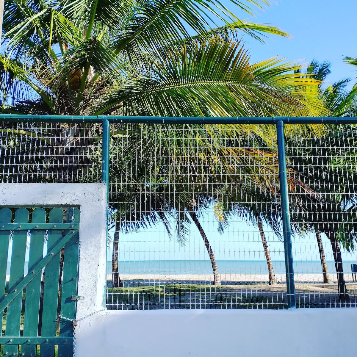 A green gate opens to a view of the beach, framed by swaying palm trees. The sandy shore extends along the horizon, with clear blue skies above. A protective fence is also visible, enhancing the sense of privacy while providing a glimpse of the coastal landscape.