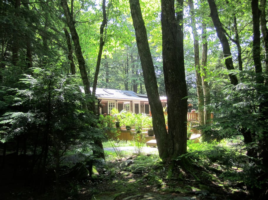 RENOVATED WOODED STREAMSIDE CATSKILLS CABIN Cabins for Rent in