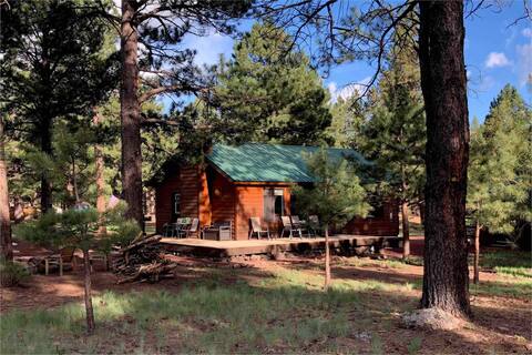 Peaceful Cabin in the Pines Fenced Borders Forest