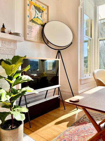 A Nordic-inspired oasis in Noe Valley gallery image 4