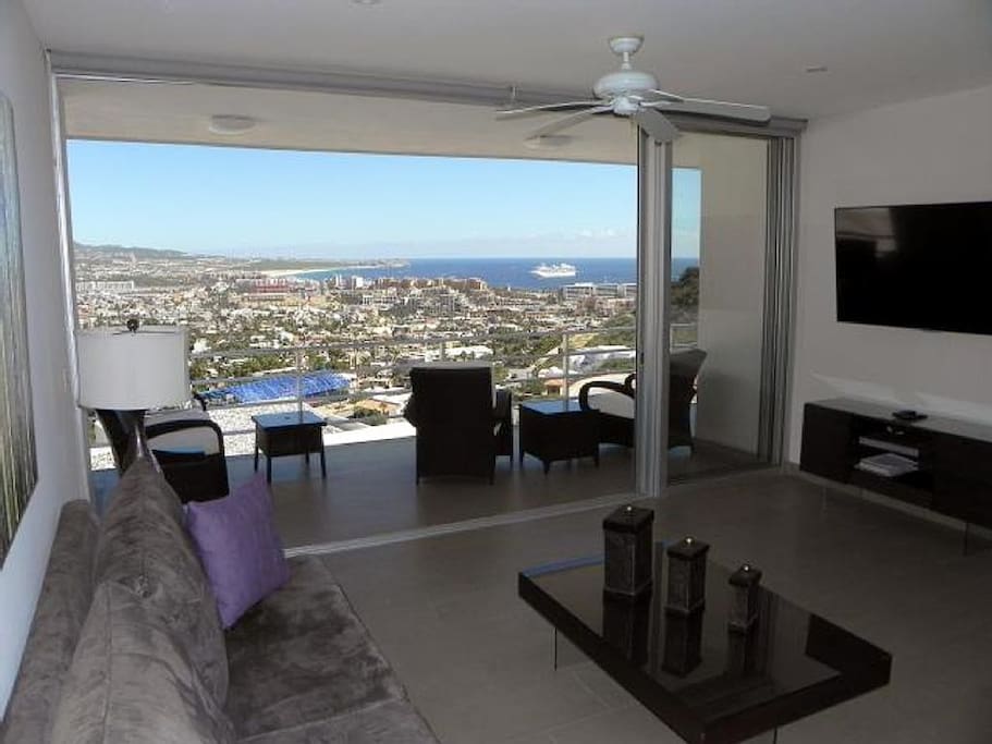 Gorgeous views from living room.