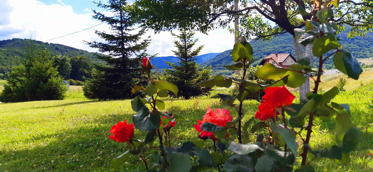 A scenic outdoor view features lush green grass and vibrant red roses in the foreground. In the background, a variety of trees and rolling hills can be seen, framed by a clear blue sky and scattered clouds, creating a serene natural landscape.