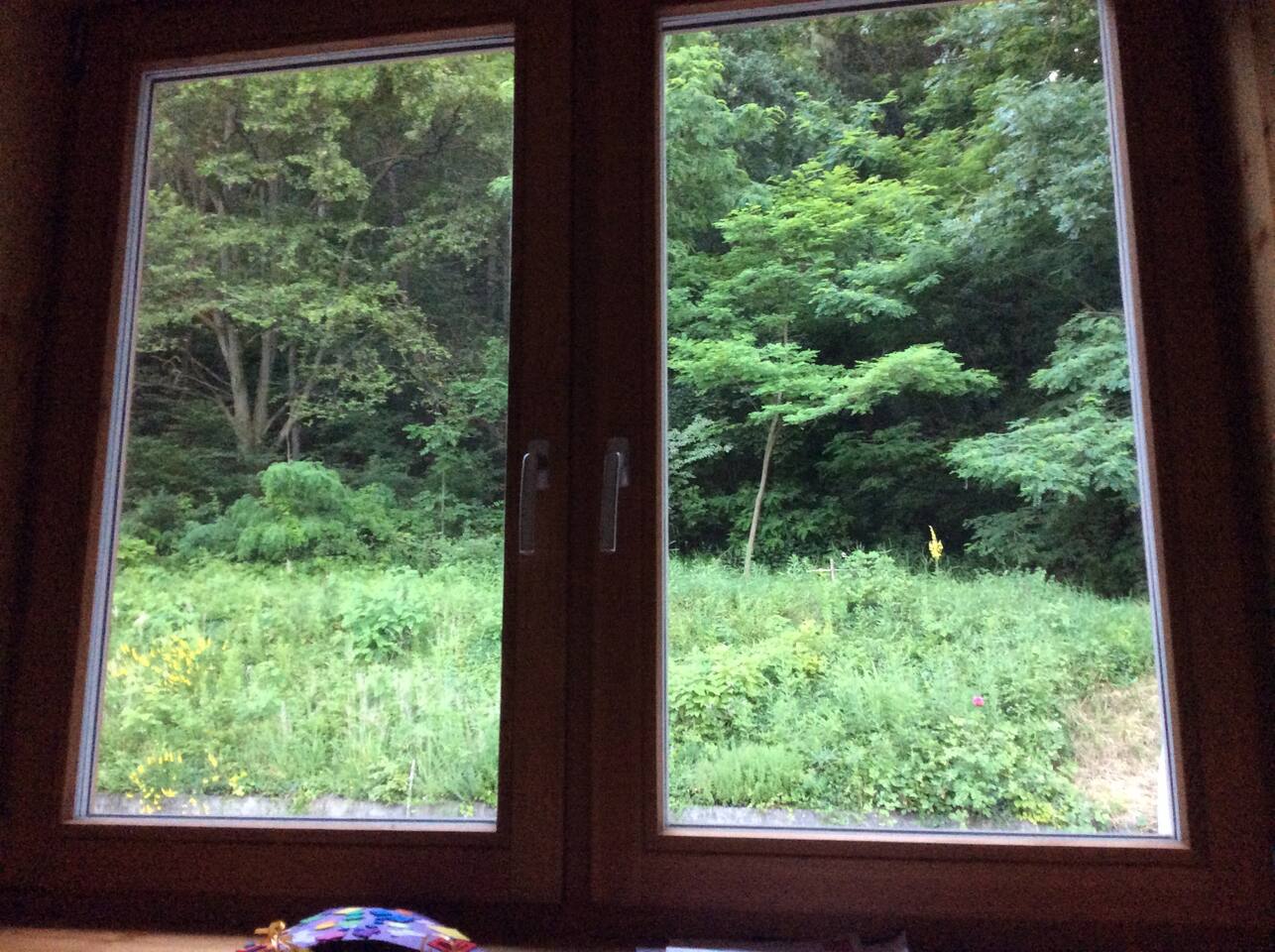 Zimmer Im Forsthaus Waldrandlage Houses For Rent In Steinaweg