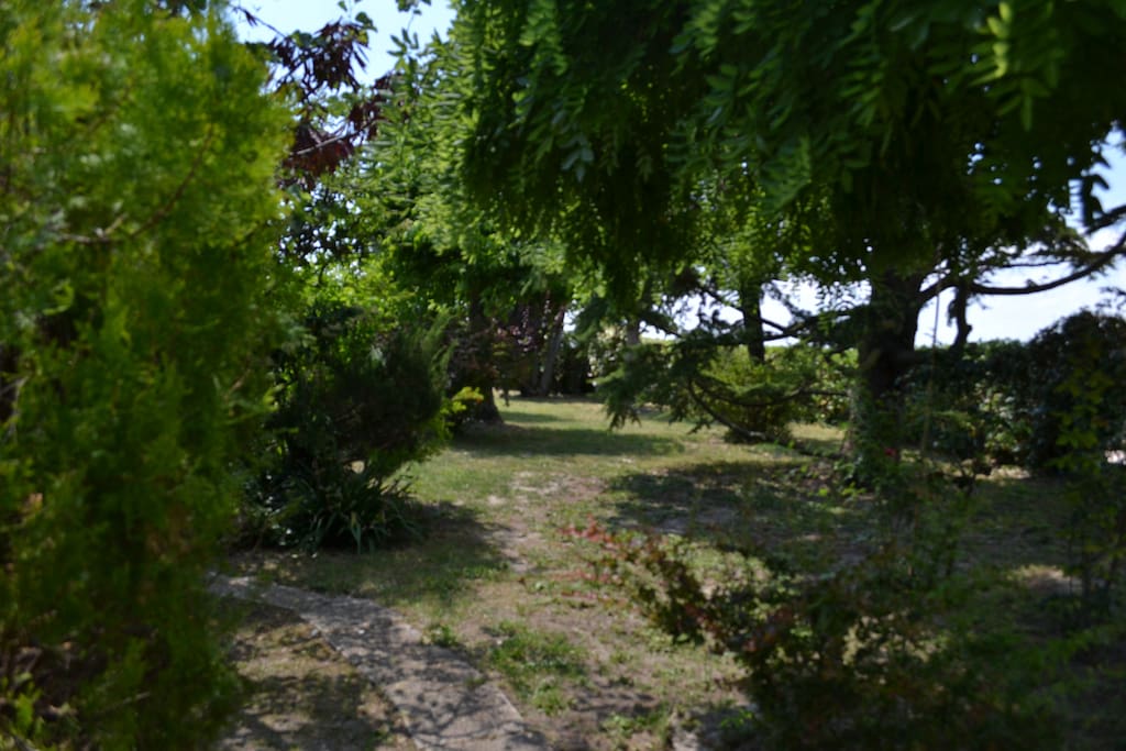 Giardino 2