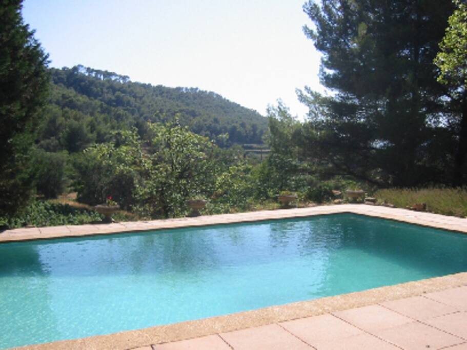 cadre paisible dans la verdure