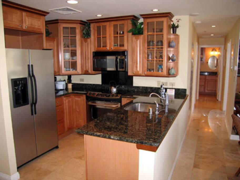 Modern Gourmet Kitchen.