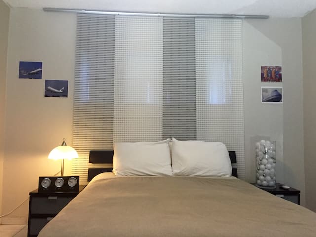 PEDRO'S PAN AM THEME ROOM