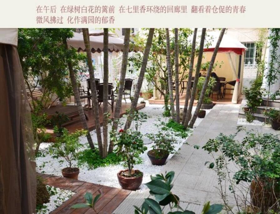 庭院