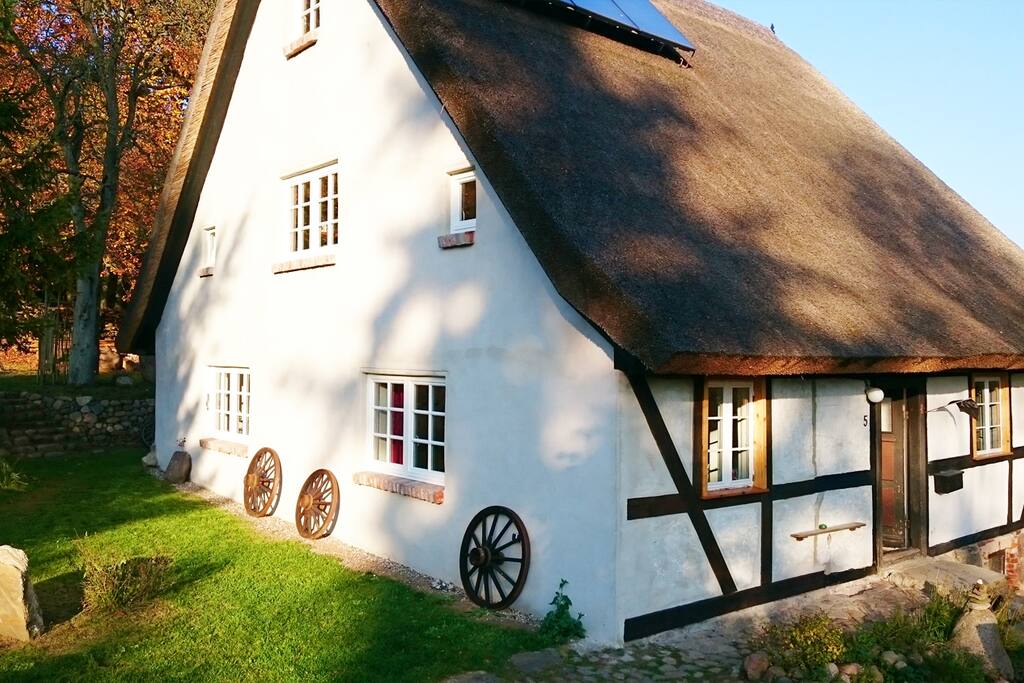 Wohnung Mit Garten Mieten Mecklenburg Vorpommern