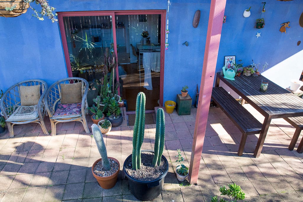 Comfortable outdoor chairs and amazing cactus and succulent garden.