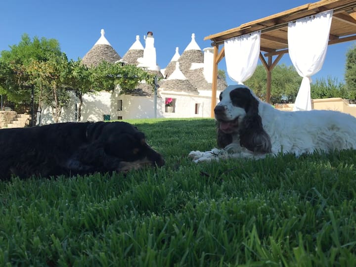 Trullo Valle D'itria - Martina Franca