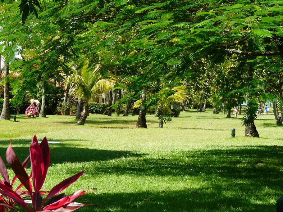 gramado com jardim que dá acesso à praia