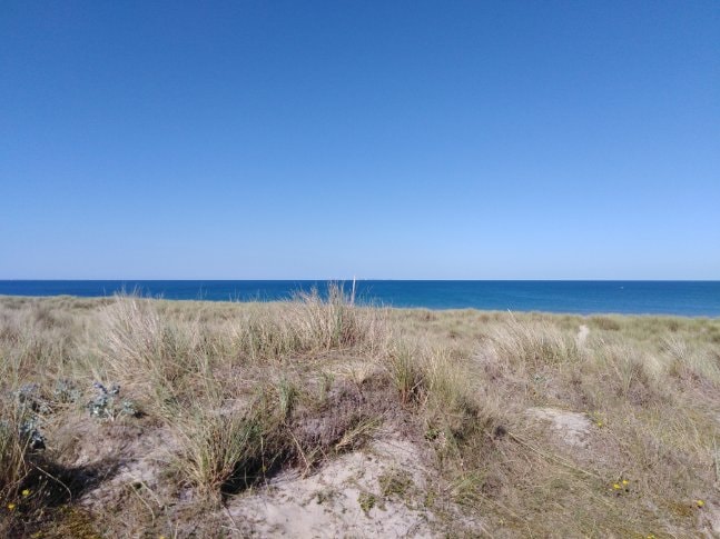 A sandy landscape stretches towards the horizon, bordered by lush green grass. The calm blue waters of the sea reflect the clear sky, creating a serene coastal scene. Gentle waves can be seen in the distance, enhancing the tranquil ambiance of the location.