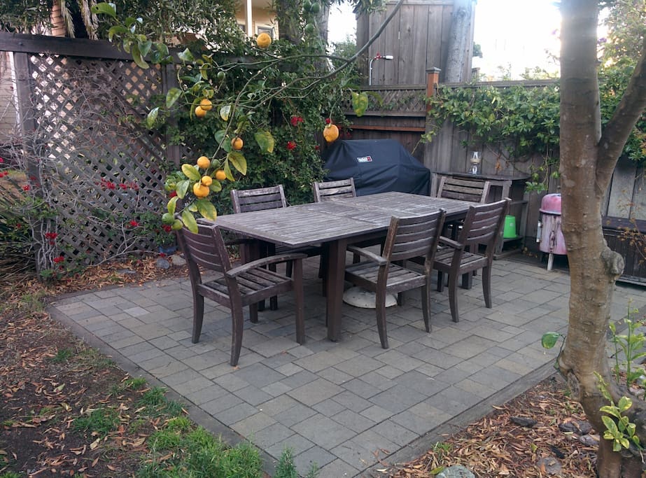 Backyard patio and grill under the lemon tree