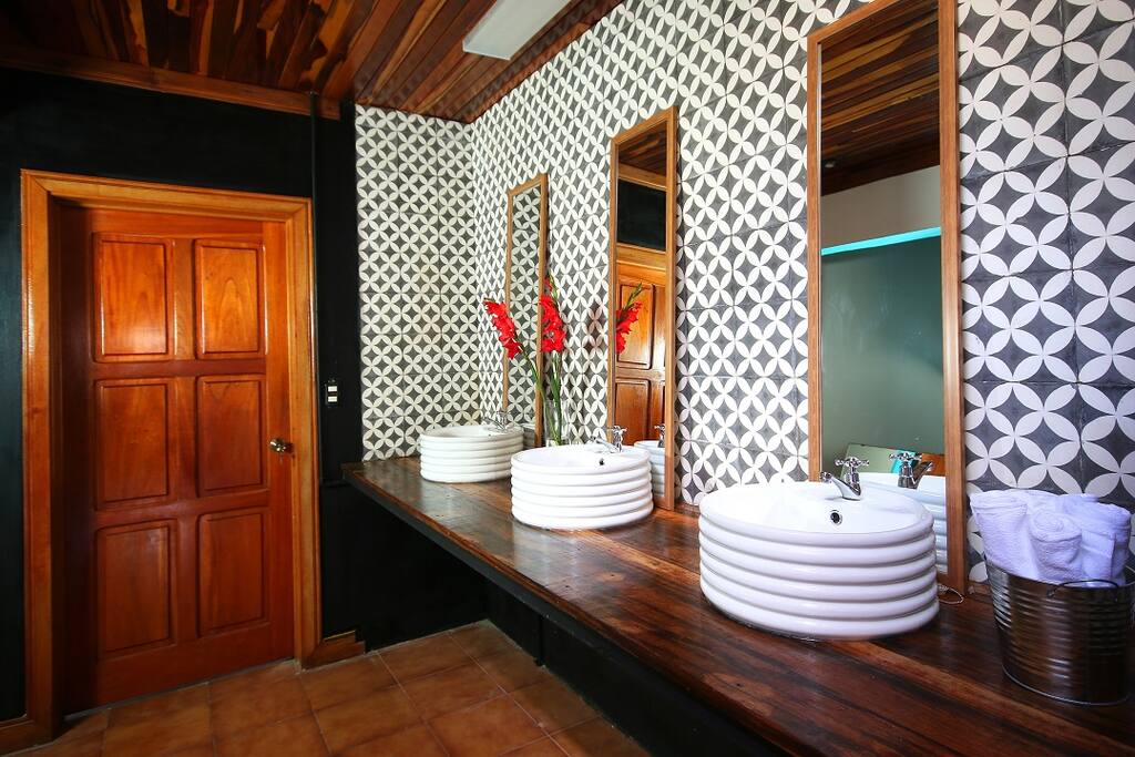 Bathrooms. Hand painted tiles by local artisan.