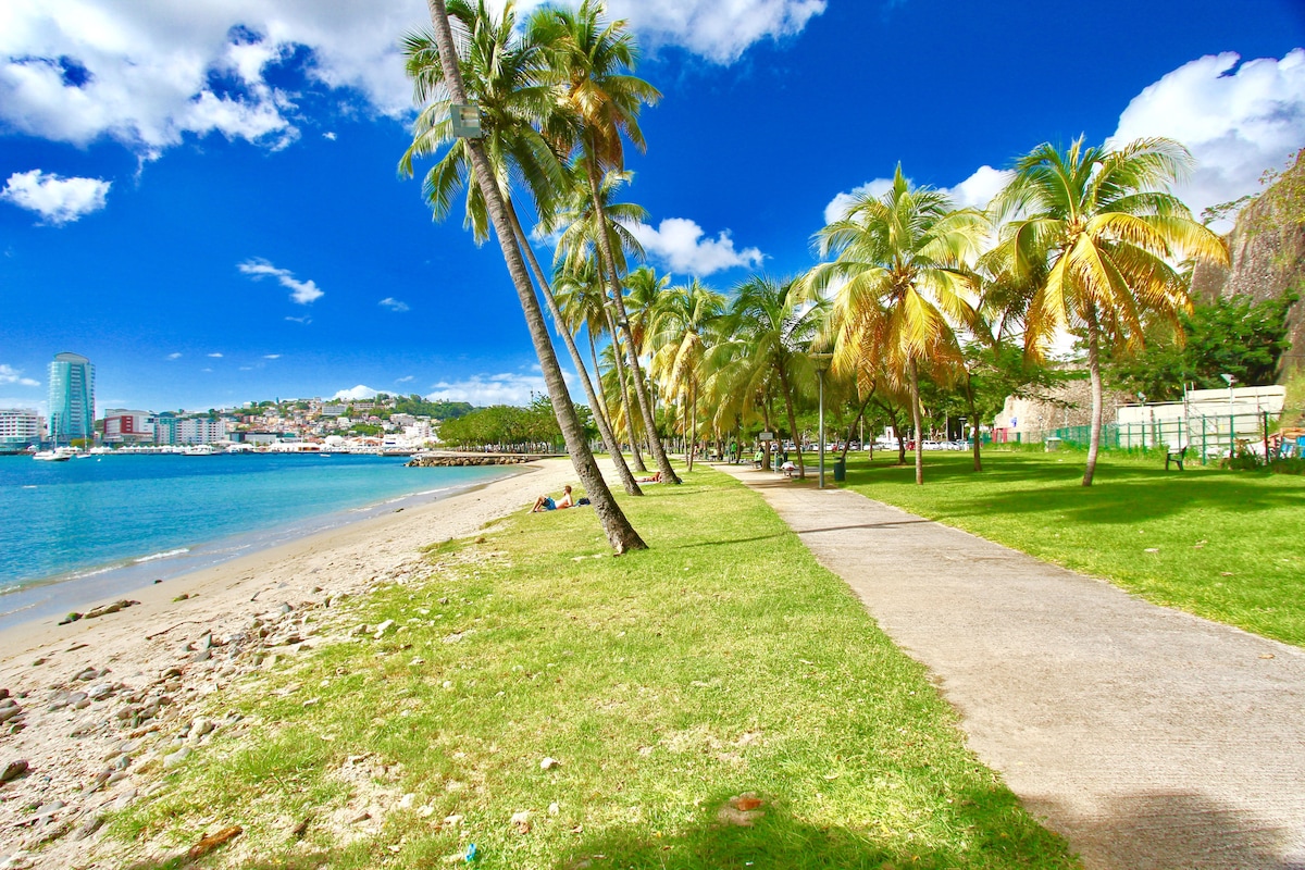 A scenic waterfront path is lined with palm trees, leading along the sandy beach and turquoise water. The background features buildings of Fort de France, under a bright blue sky with scattered clouds.