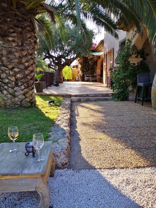 Terrasse en terre cuite sous les oliviers