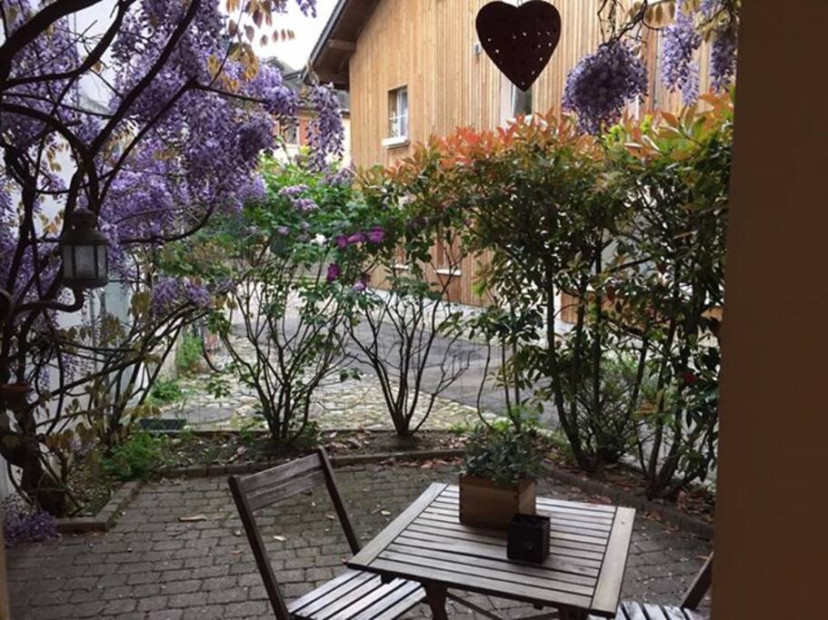 Petit jardin fleuri