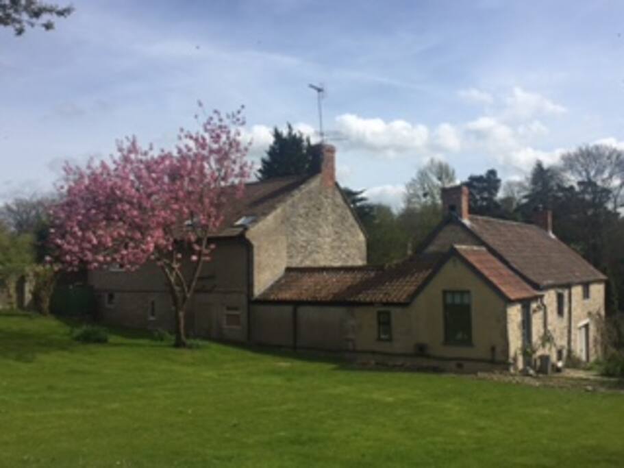 Cedar Cottage Rear Garden