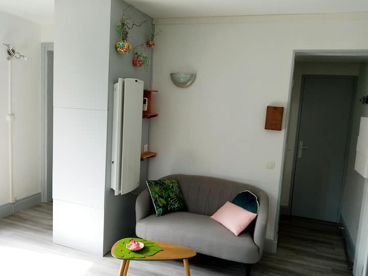 Appartement 2* - T2 De 30m² Belle Vue Montagne - Luz-Saint-Sauveur