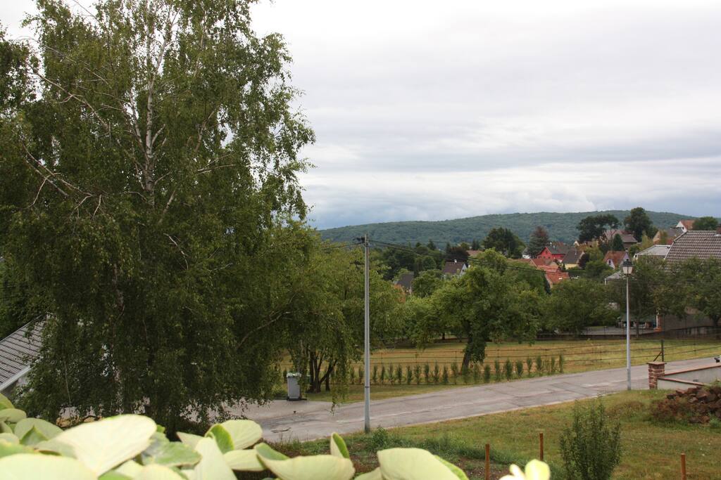 La vue de la terrasse sur la plaine d'Alsace
