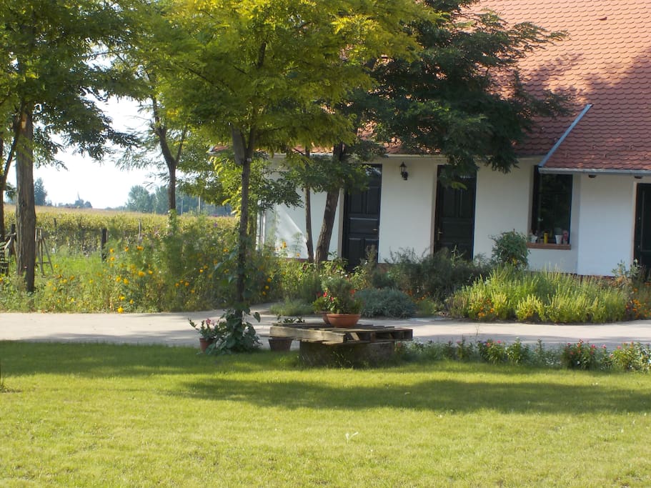 Melléképület, előtérben a fűszerkert