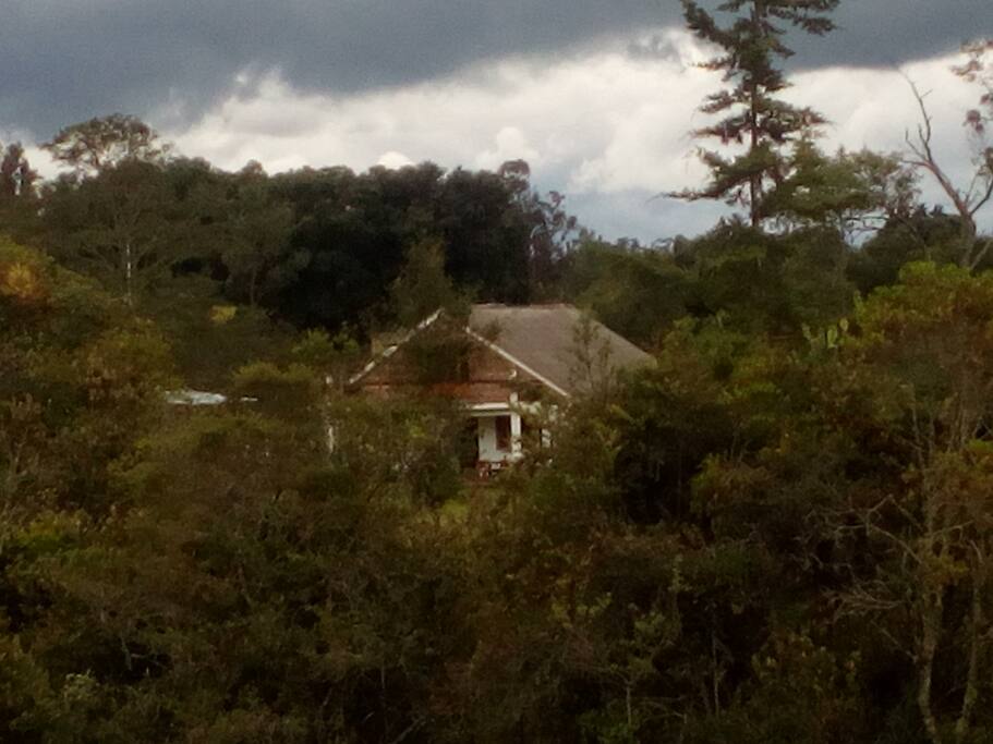 Hostal