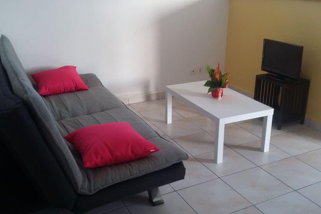 salon/séjour