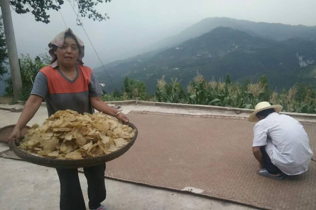 晒干的土豆片
