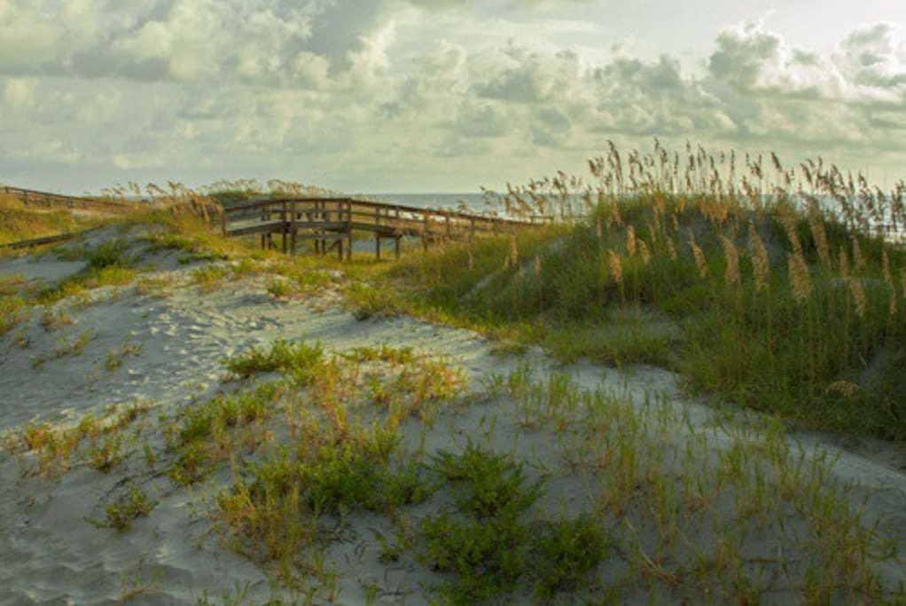 GOULDS INLET SAND DUNES