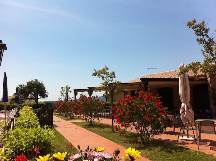 Fewo In Pomaia,familienfreundlich, Zwei Terrasse Mit Blick,free Wi-fi,bis 6 Pers - Toscana