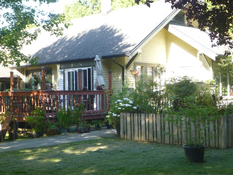 Front Yard