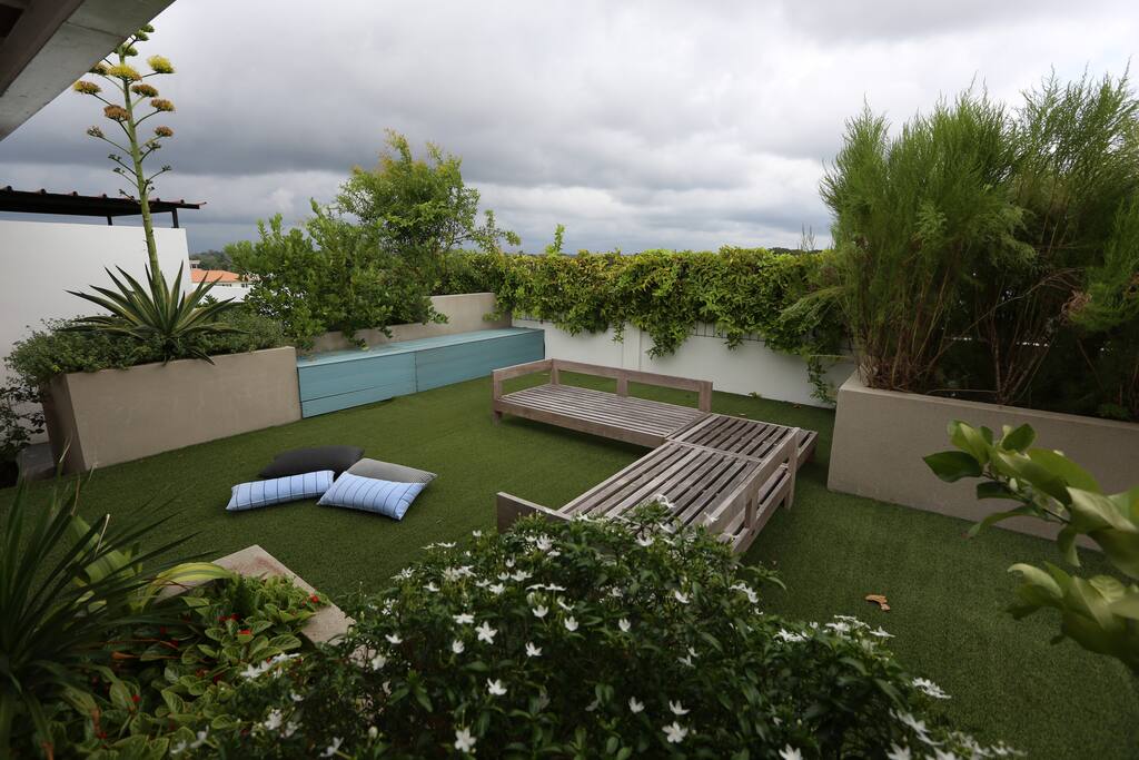 A section of the rooftop garden