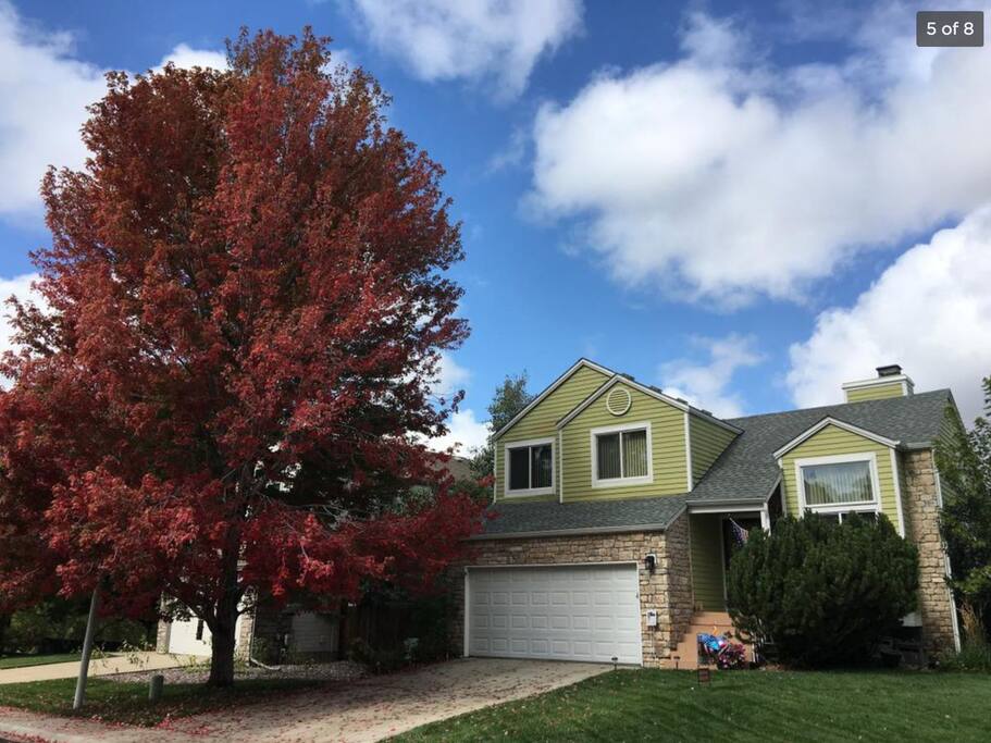 Front of the House