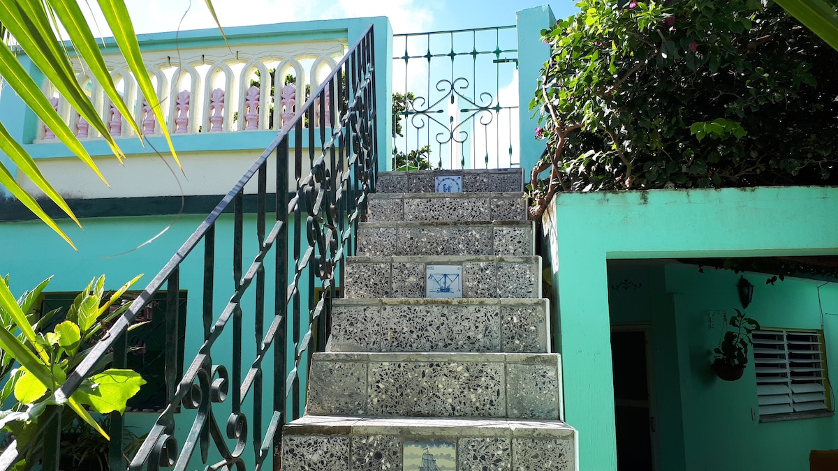 A set of stone stairs leads to a gated terrace, surrounded by lush tropical foliage. The railings feature intricate designs, while decorative tiles provide accents on the steps. The vibrant teal walls of the building can be seen in the background, creating a refreshing atmosphere.