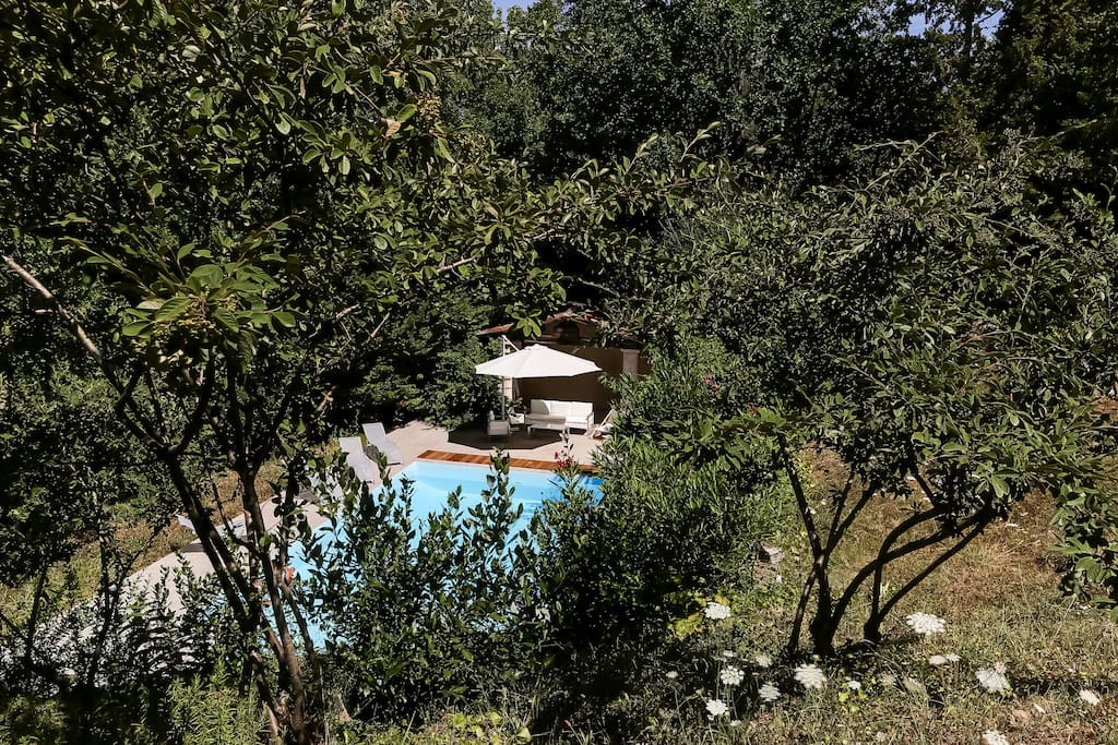 Piscine Swimming pool