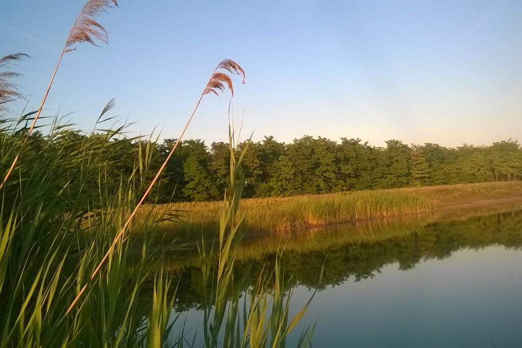 smal lake