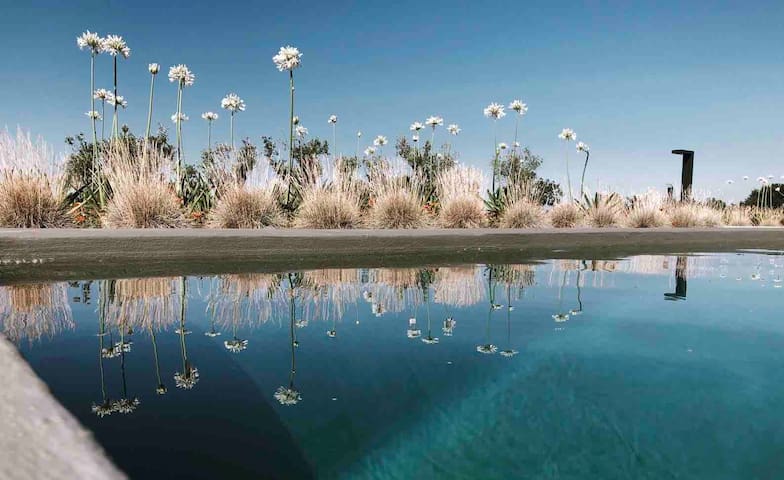 TRULLI MANSUETO wild meets perfection gallery image 2