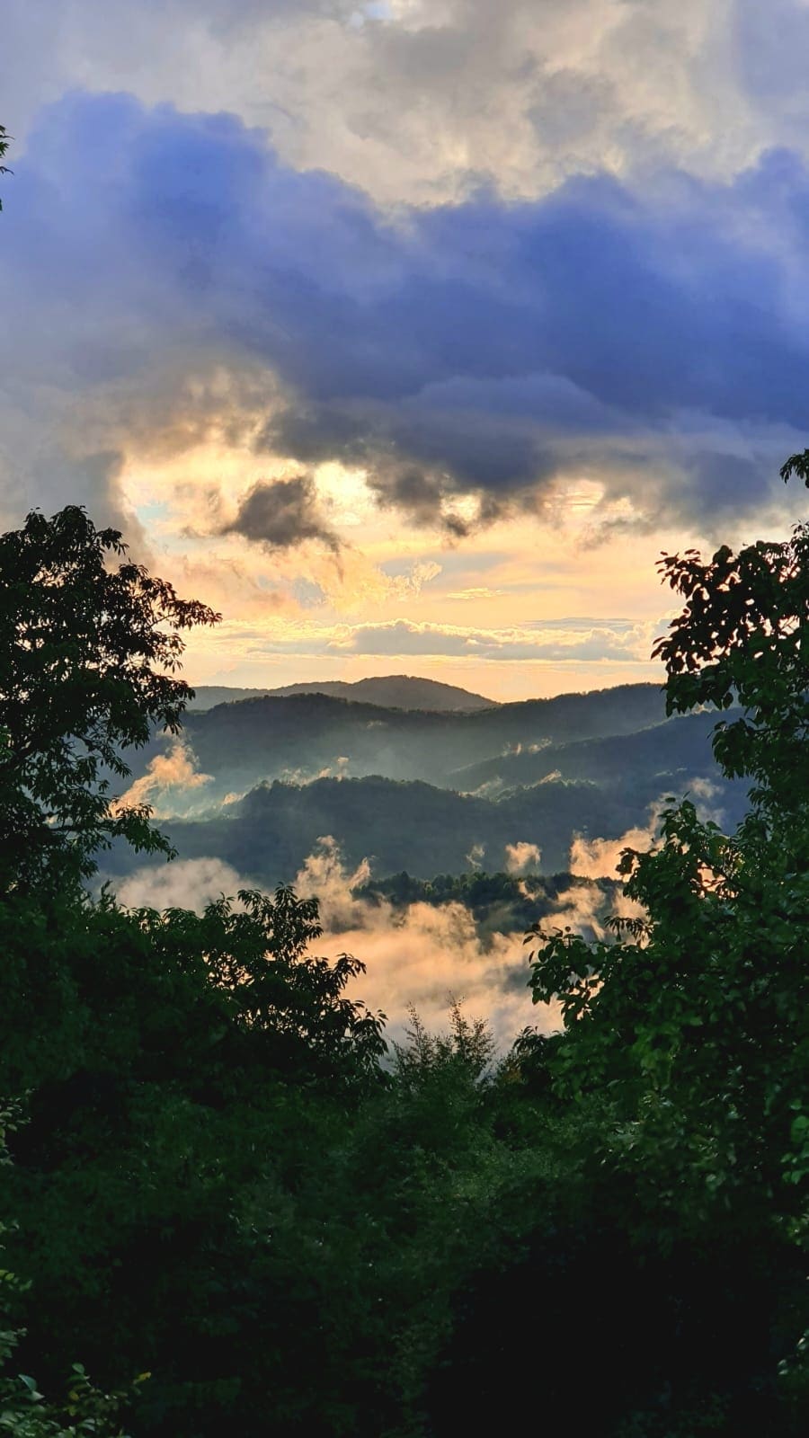 A serene landscape unfolds, featuring layered mountains enveloped in mist. Soft clouds drift above, reflecting warm hues of an early sunrise. Green treetops frame the view, allowing glimpses of the tranquil scenery beyond.