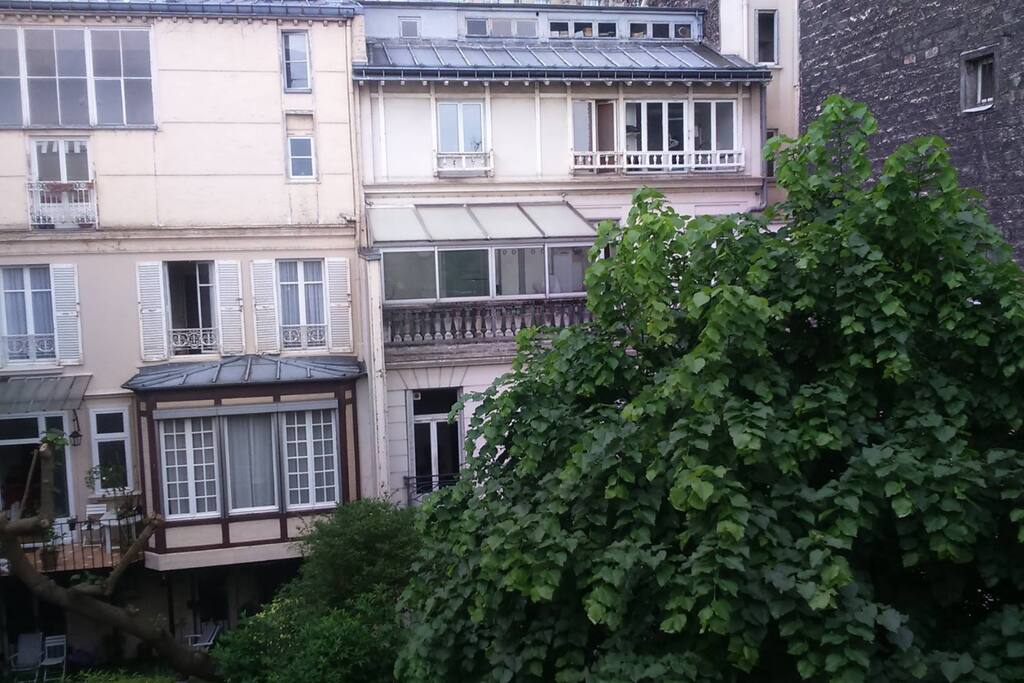 vue sur la cours