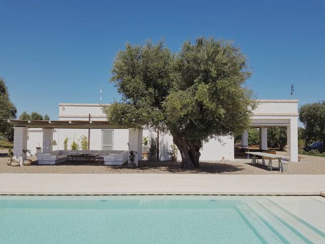 Tenuta Parco Paolino(Lamia+Lamiola) gallery image 2