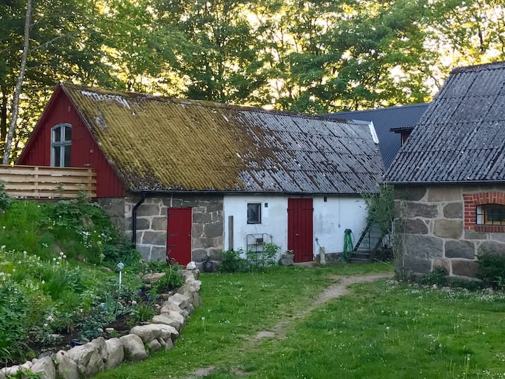 Happy Dogs Ranch- Cozy Hay Loft