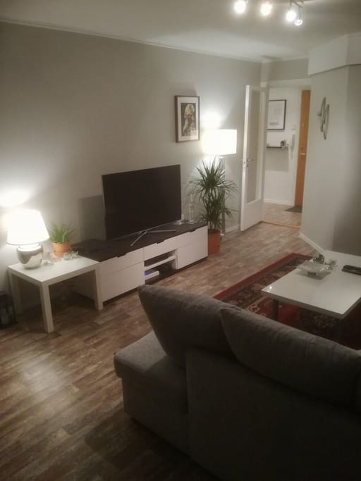 Living room with a big comfortable couch that can work as an extra bed and TV with lots of different channels