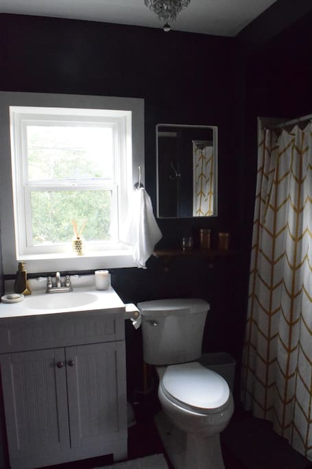 Stocked with shampoo and conditioner, cotton balls and q-tips. The water pressure in this bathroom is strong AND all the water in carriage house is filtered. So you can take a long swig when your scrub-a-dub-dubbing.