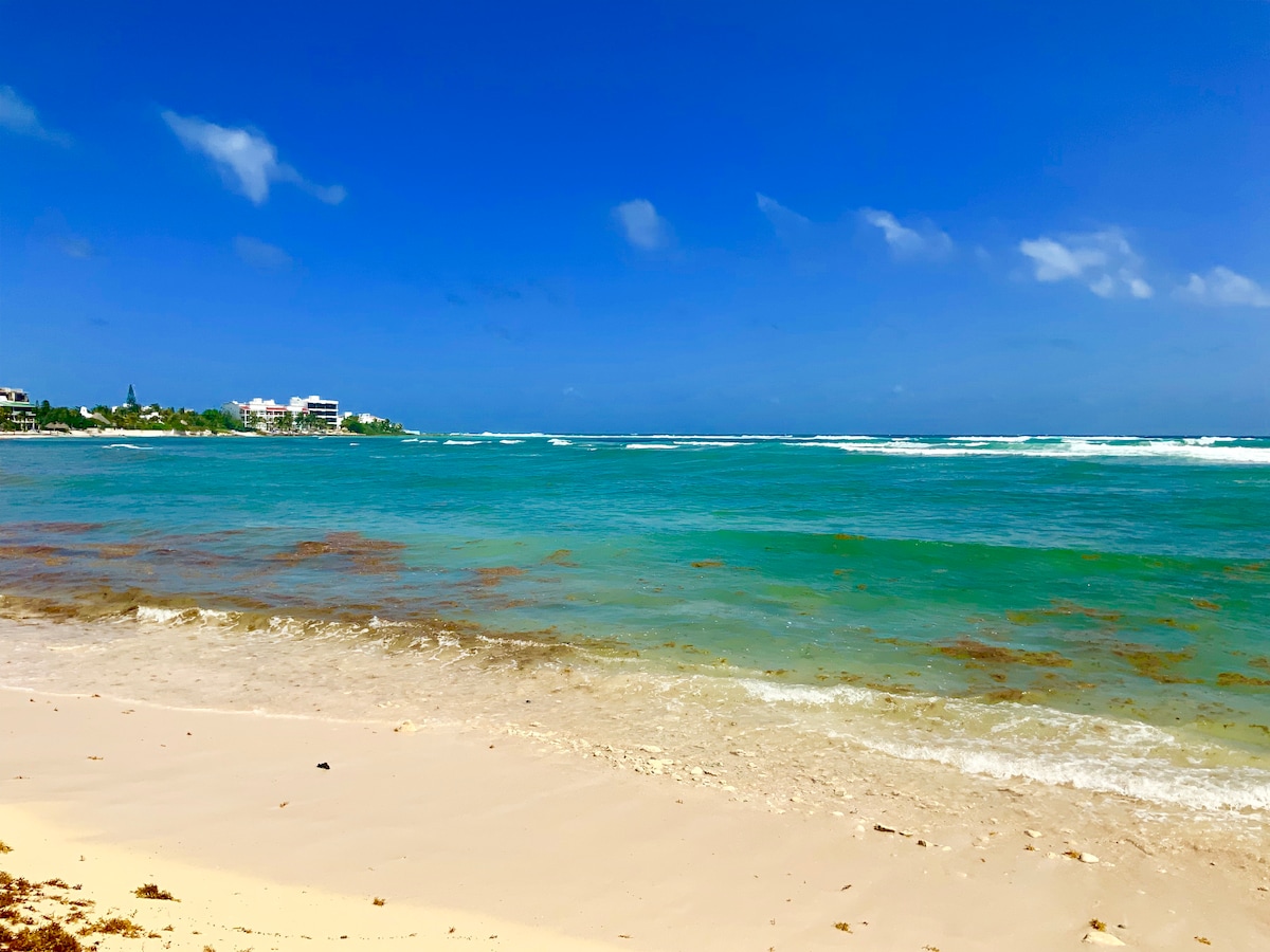 A serene beach scene captures the turquoise waters gently lapping at the sandy shore. A clear blue sky is dotted with a few wispy clouds, while distant buildings line the horizon, showcasing the coastal community of Akumal.