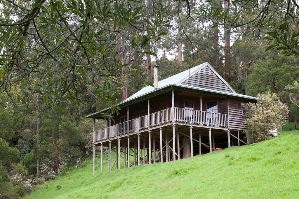 Tall Trees Retreat Manna Gum Cottage Cabins For Rent In Apollo Bay